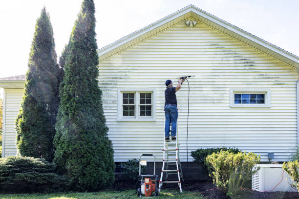 Best Sidewalk and Walkway Cleaning  in Beeville, TX